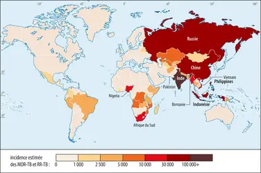 Distribution géographique des cas de tuberculose résistante aux antibiotiques - crédits : Encyclopædia Universalis France