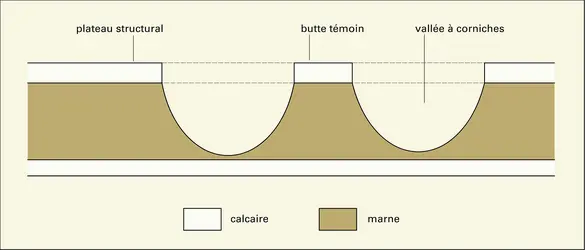 Structure aclinale d'un bassin sédimentaire - crédits : Encyclopædia Universalis France