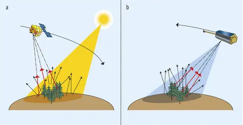 Ondes réfléchies - crédits : Encyclopædia Universalis France