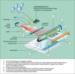 Principe de fonctionnement d’une imprimante laser - crédits : Encyclopædia Britannica (adaptation : EUF)