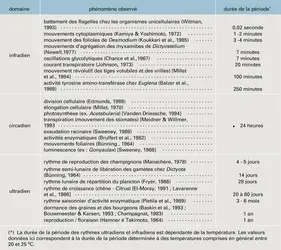 Processus rythmiques chez les végétaux - crédits : Encyclopædia Universalis France