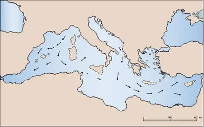 Méditerranée : courants de fond - crédits : Encyclopædia Universalis France