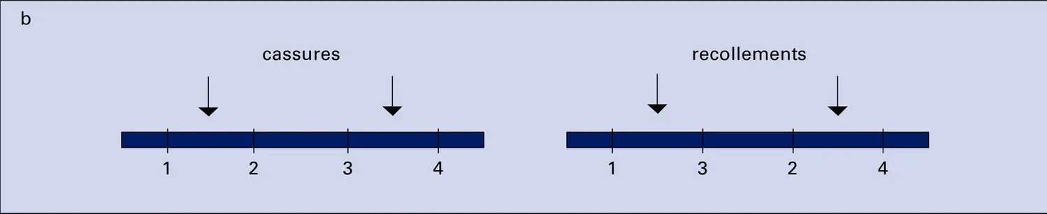 Remaniements chromosomiques - vue 2