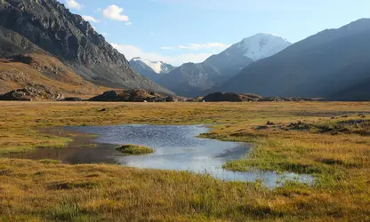 Toundra alpine de l’Altaï, Sibérie, Russie - crédits : A. Hunta/ Shutterstock