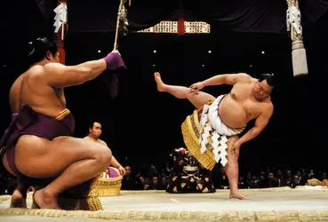 Sumo - crédits : David Madison/ Getty Images