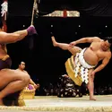 Sumo - crédits : David Madison/ Getty Images