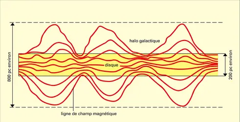 Champ magnétique dans le disque galactique - crédits : Encyclopædia Universalis France