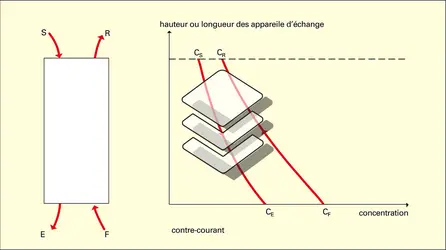 Concentration en soluté dans différents courants - crédits : Encyclopædia Universalis France