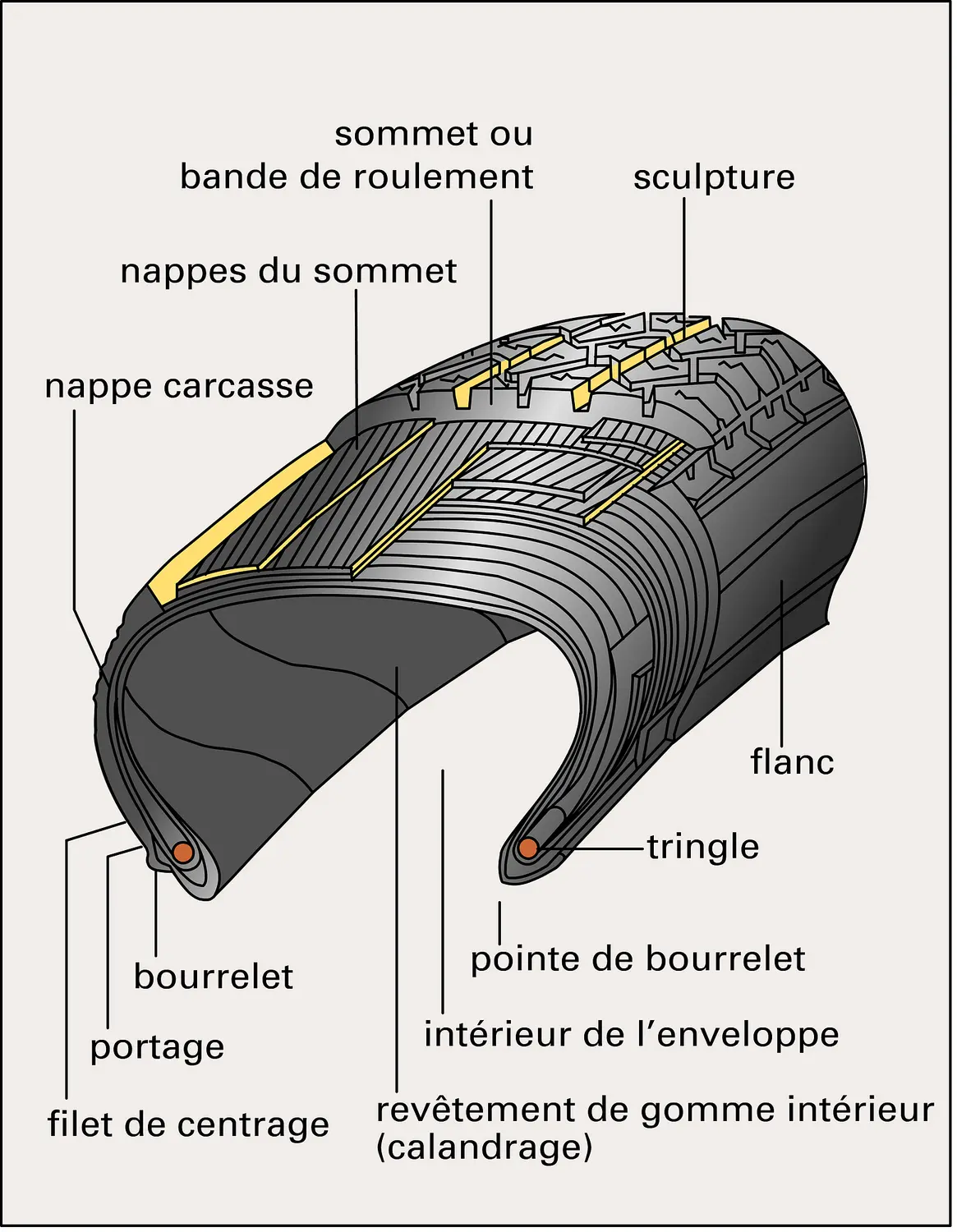 Pneu radial : structure