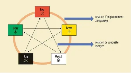 Relations d'engendrement et de conquête des Cinq Agents - crédits : Encyclopædia Universalis France