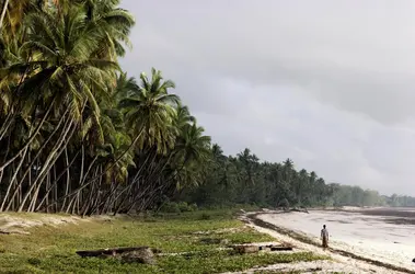 Paysage côtier dans le sud du Kenya - crédits : Christopher Pillitz/ Hulton Archive/ Getty Images