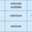 Les quatre modes d'identification des humains aux non-humains proposés par Philippe Descola - crédits : Encyclopædia Universalis France