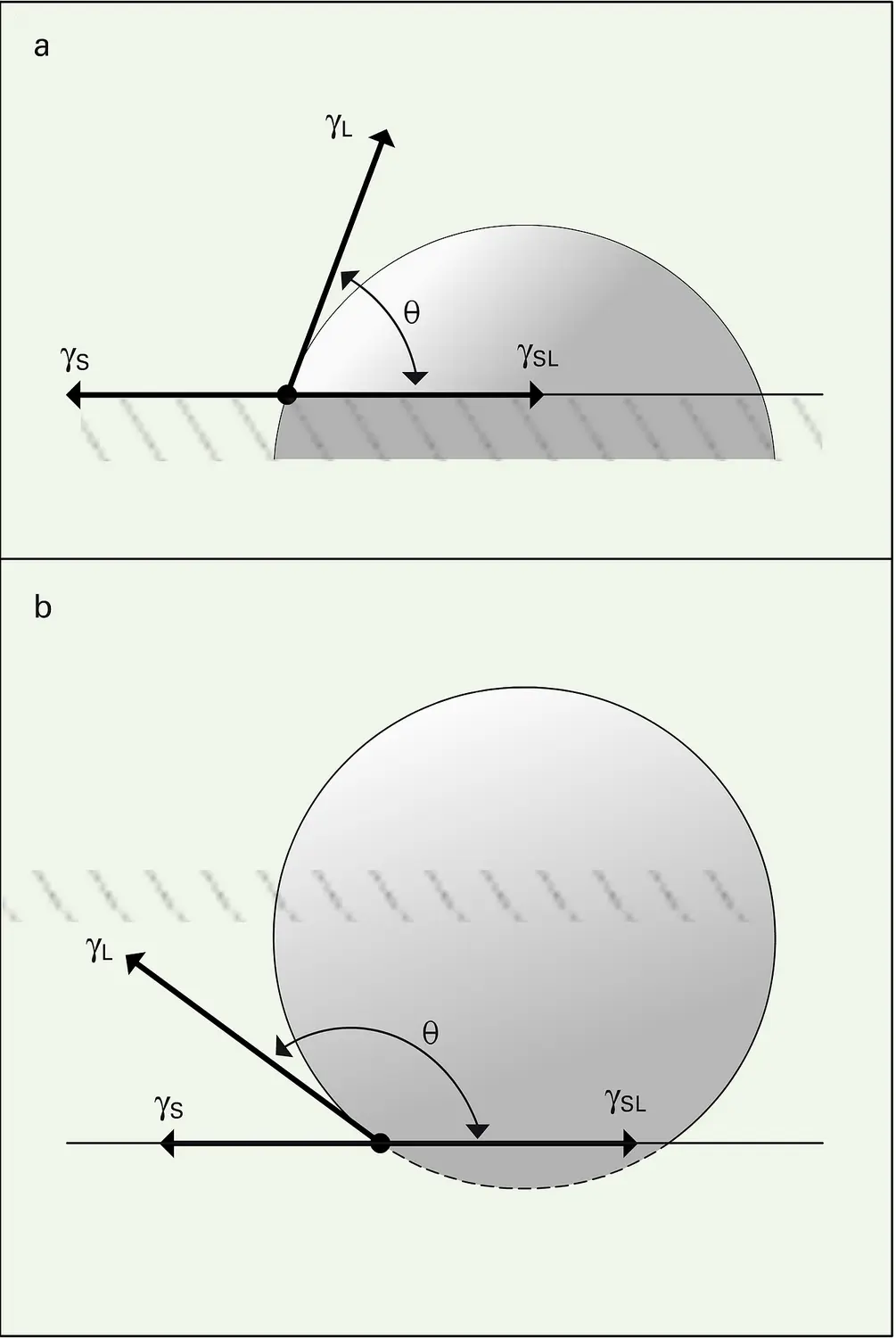 Représentation vectorielle de Young