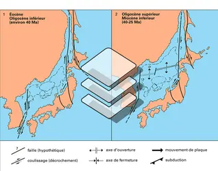 Mer du Japon ; genèse - crédits : Encyclopædia Universalis France