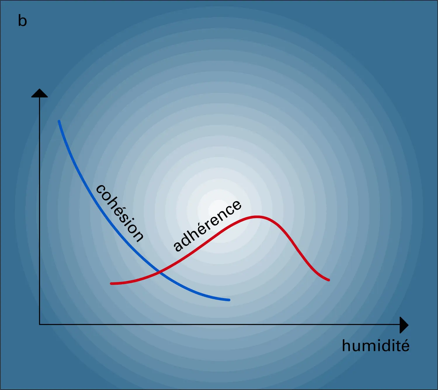 Cohésion, adhérence et humidité - vue 2