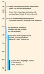 Évolution des traitements de la tuberculose - crédits : Encyclopædia Universalis France