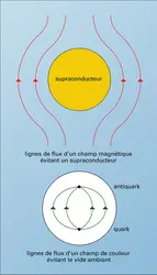 Flux magnétique et de couleur - crédits : Encyclopædia Universalis France