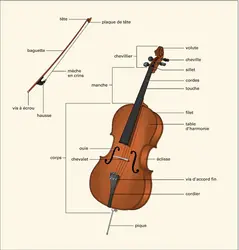 Violoncelle - crédits : Éditions J.M. Fuzeau (Courlay, France)