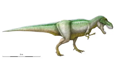 Tyrannosaurus - crédits : Encyclopædia Universalis France