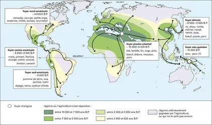 Agriculture néolithique - crédits : Encyclopædia Universalis France