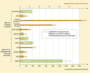 Carburants alternatifs pour l'aviation et capacité de production - crédits : Encyclopædia Universalis France