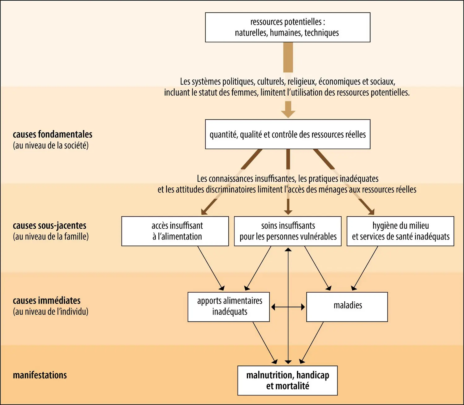 Schéma conceptuel d’analyse de la malnutrition