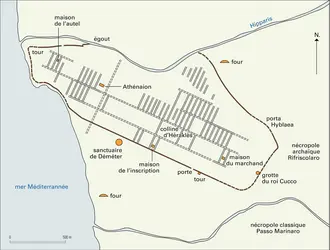 Camarina - crédits : Encyclopædia Universalis France