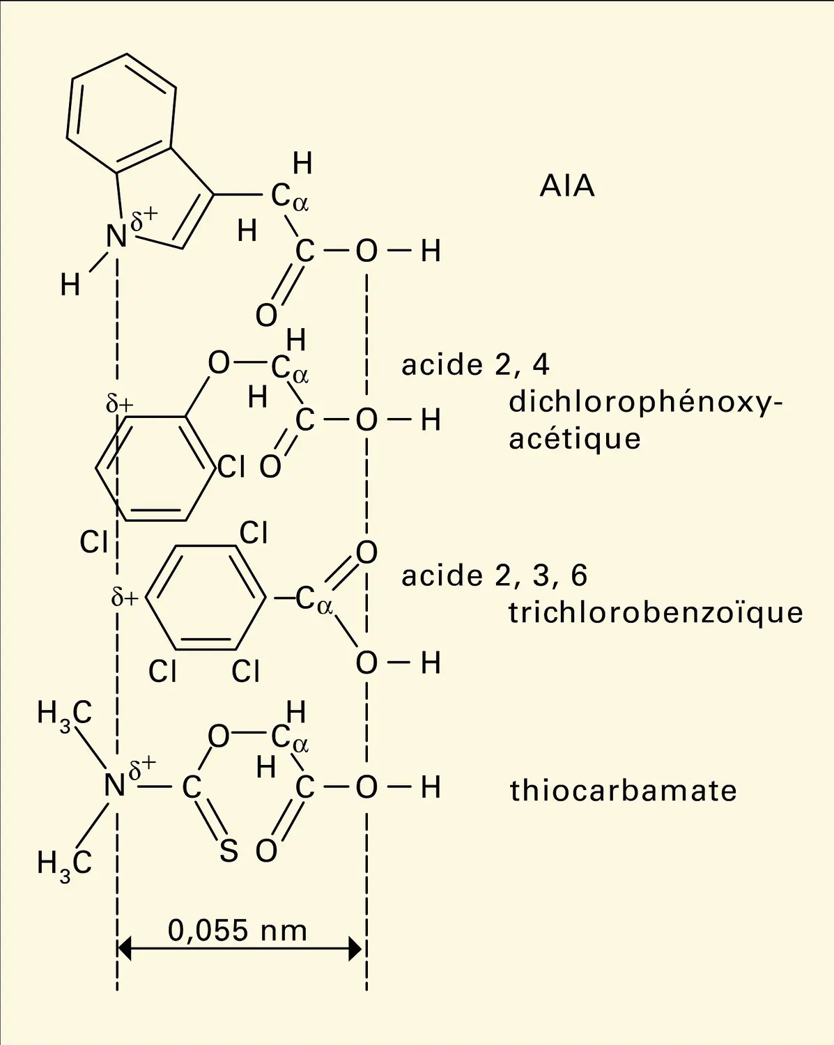 AIA : structure de trois composés
