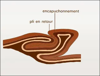 Encapuchonnement - crédits : Encyclopædia Universalis France
