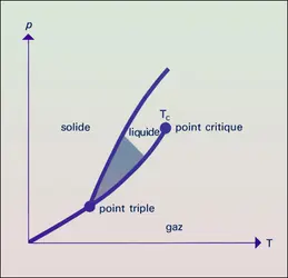 Diagramme d'équilibre - crédits : Encyclopædia Universalis France