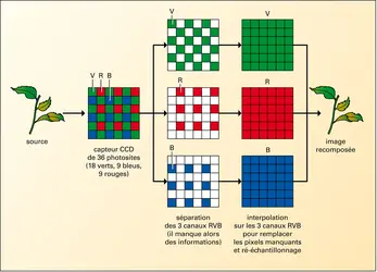 Photographie numérique : principe du dématriçage et de l'interpolation - crédits : Encyclopædia Universalis France