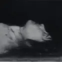 Mort 1, G. Richter - crédits : Gerhard Richter