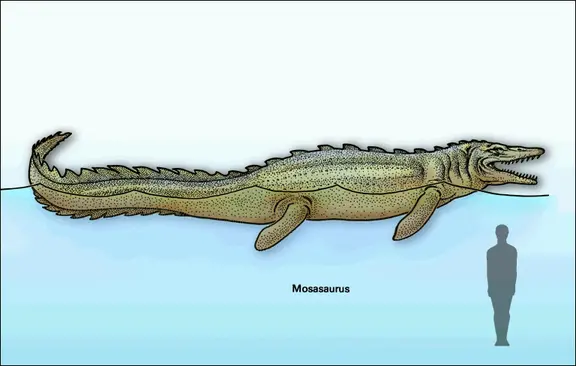 Mosasaurus