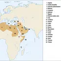 Ligue arabe - crédits : Encyclopædia Universalis France