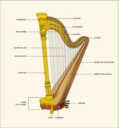 Harpe d'orchestre - crédits : Encyclopædia Universalis France