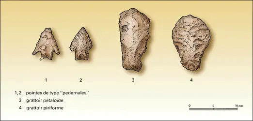 Outils de pierre taillée du site de Sand Hill (Belize) : pointes et grattoirs - crédits : Encyclopædia Universalis France