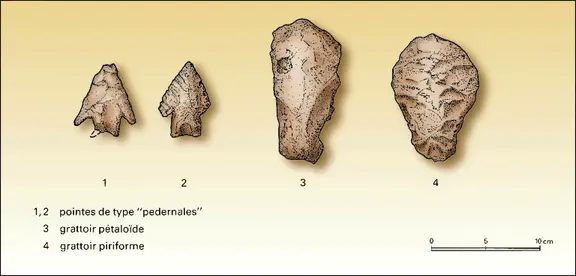 Outils de pierre taillée du site de Sand Hill (Belize) : pointes et grattoirs