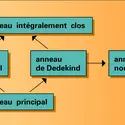 Rapports entre les différents anneaux - crédits : Encyclopædia Universalis France