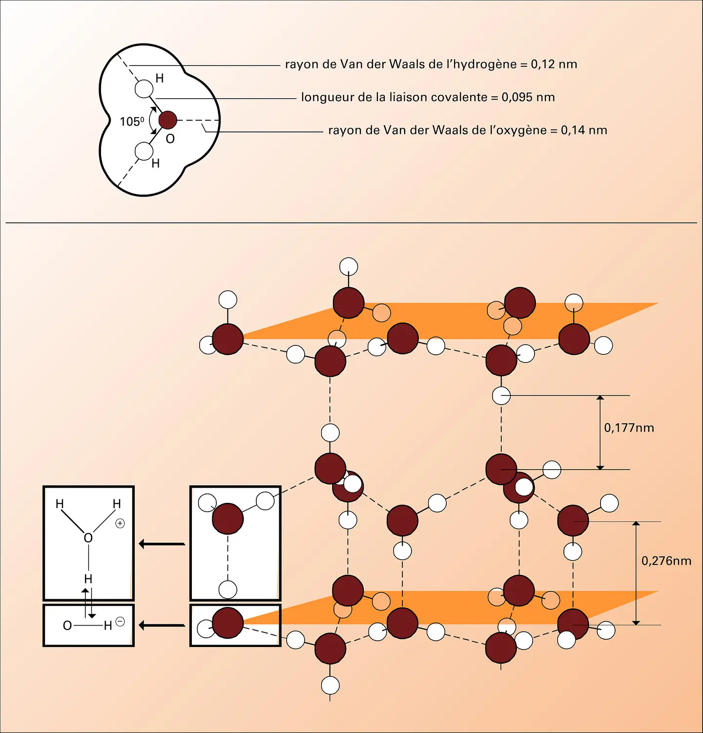 Structure de l'eau