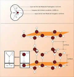 Structure de l'eau - crédits : Encyclopædia Universalis France