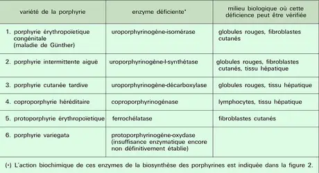 Déficiences enzymatiques - crédits : Encyclopædia Universalis France