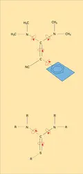 Conformation éclipsée - crédits : Encyclopædia Universalis France