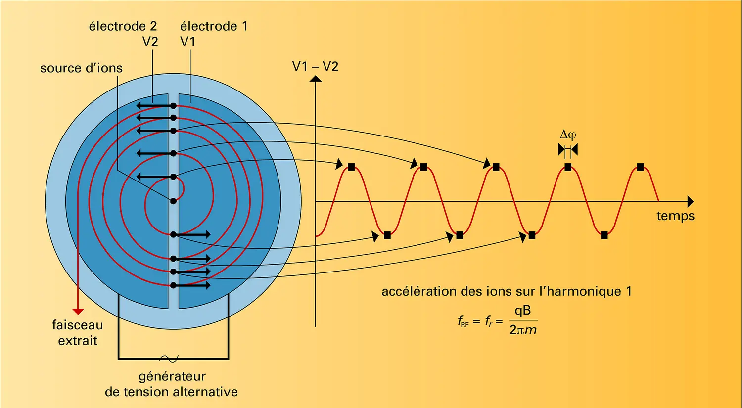 Cyclotron classique : accélération du faisceau interne