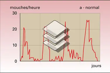 Drosophile : rythmes circadiens d'éclosion - crédits : Encyclopædia Universalis France
