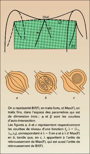 Déploiement universel de l'ombilic hyperbolique