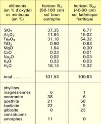 Fraction argileuse de sols à évolution chimique différente - crédits : Encyclopædia Universalis France