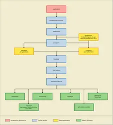 Gaz naturel : schéma de la filière - crédits : Encyclopædia Universalis France