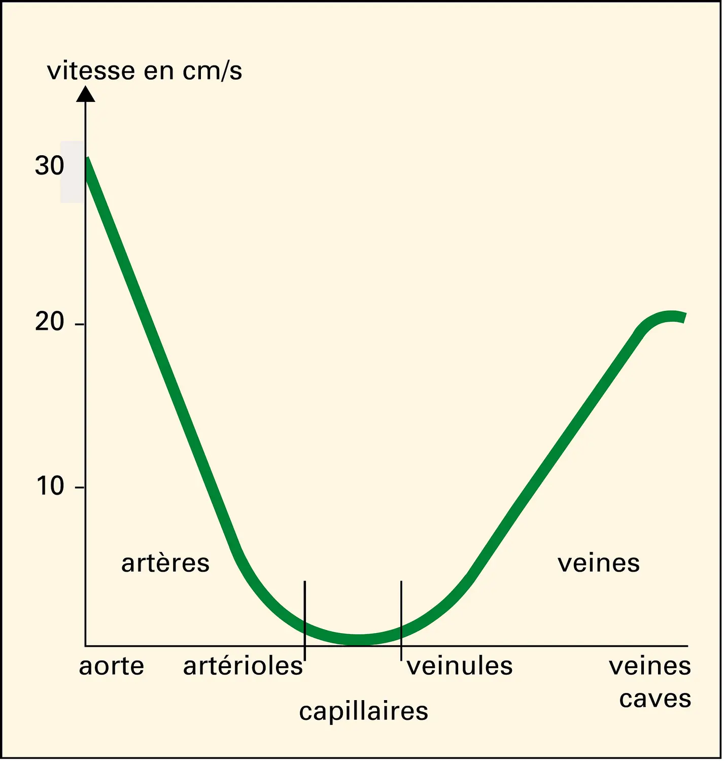 Vitesse du courant circulatoire