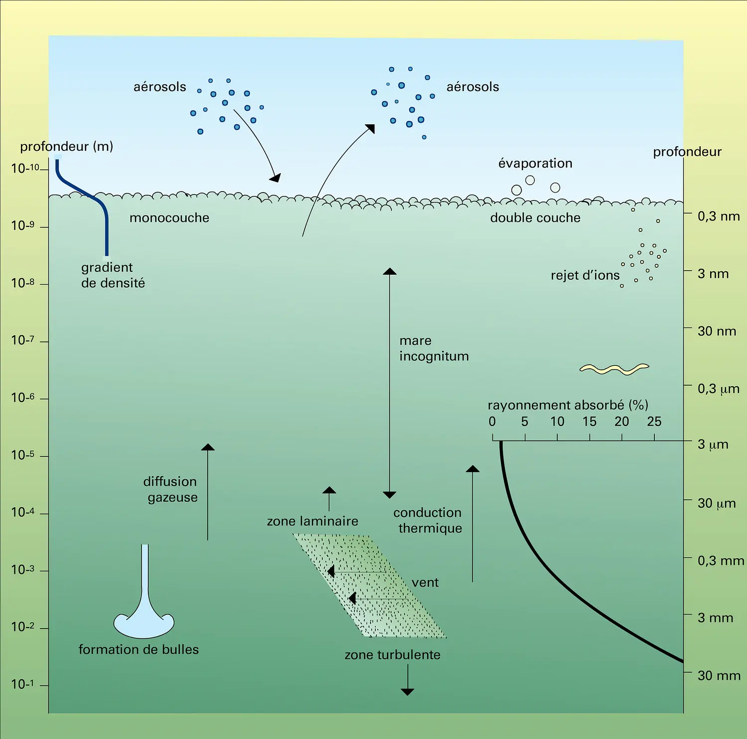 Pétillement de la mer