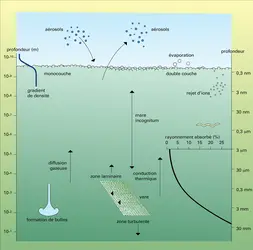 Pétillement de la mer - crédits : Encyclopædia Universalis France